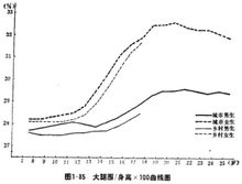 大腿圍