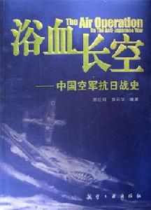 浴血長空[陳應明所著《浴血長空》]