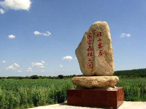 隕石山國家森林公園