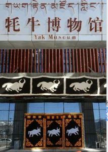 西藏氂牛博物館