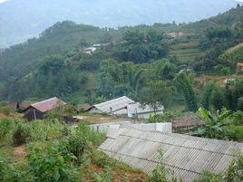 團山村[雲南省瀾滄拉祜族自治縣謙六彝族鄉團山村]