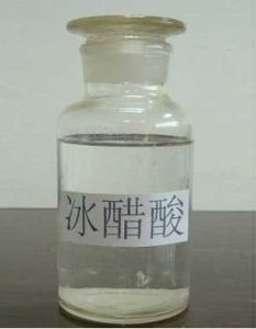 揮發性脂肪酸