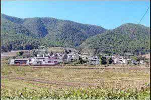 務本村[雲南省大理白族自治州苴力鎮務本村]