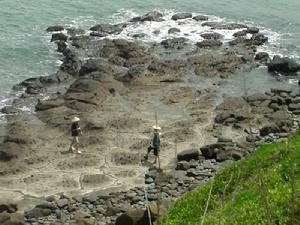 林進嶼、南碇島