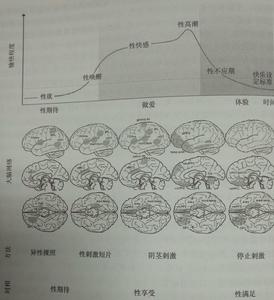 做愛網路