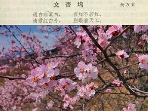 薌林五十詠·文杏塢