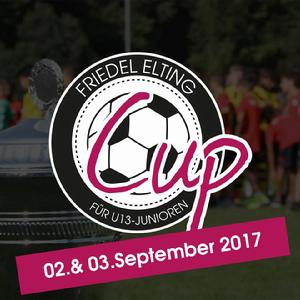 德國弗里德爾杯足球比賽 德國弗里德爾杯足球比賽