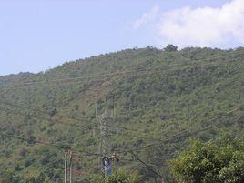 龍王廟自然村[雲南省臨滄耿馬縣勐永鎮勐永村龍王廟自然村]