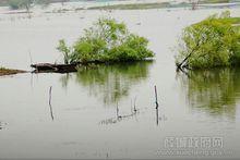 蟠龍河濕地公園