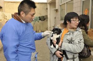 （圖）關注流浪動物