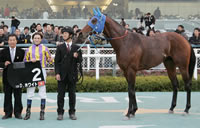 阪神競馬場