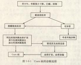 診斷流程