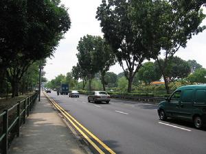 武吉知馬路是新加坡最早的道路之一。