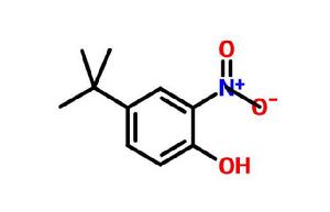 2-硝基-4-叔丁基苯酚