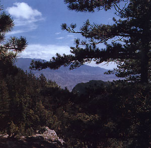 賀蘭山國家森林公園