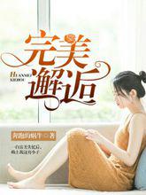 完美邂逅[暗夜文學網小說]