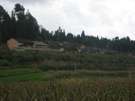 湖東村[雲南保山市騰衝縣清水鄉下轄村]