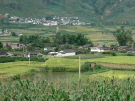 松林自然村[雲南省保山昌寧縣柯街鎮大地村委松林自然村]