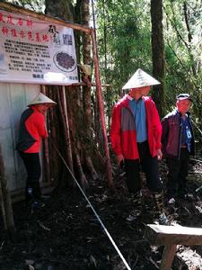 2017年10月朗傑崗村石斛種植基地一角