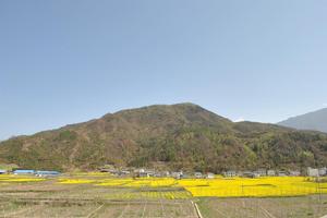 青溪鎮[四川廣元市青川縣青溪鎮]