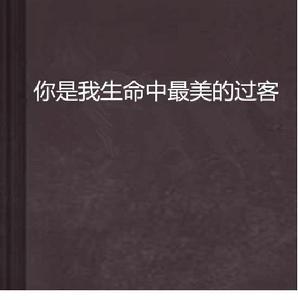 你是我生命中最美的過客