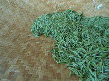 餘姚瀑布仙茗