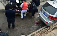 3·4北京海淀越野車司機碾死路人案