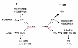 依地酸二鈉鈣