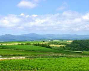 黃山村[山東省威海工業新區黃山村]