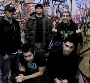 zebrahead