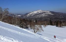 大禿頂子山