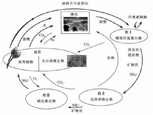 受控生態生命保障系統