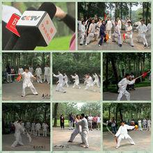 陳慶源的弟子們向漢學家們展示太極拳