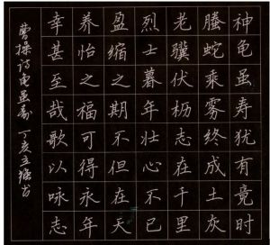 龜雖壽字圖