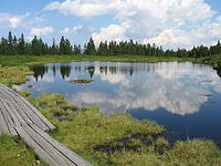 里布尼察湖