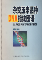 雜交玉米品種DNA指紋圖譜