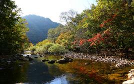 蒲石河森林公園