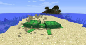 兩隻海龜正在交配。