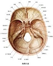 腦梗後遺症