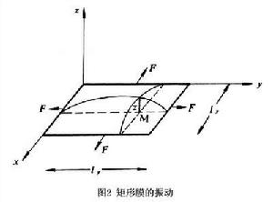 物體的振動