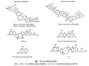 短裸甲藻毒素及其衍生物分子結構