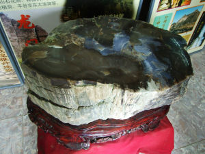科普館內的木化石