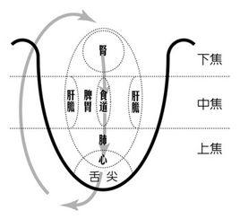 人體空間醫學