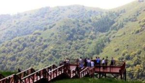 大青山[山東萊西市大青山森林公園] 