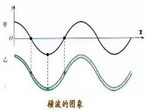 橫波[物理名詞]