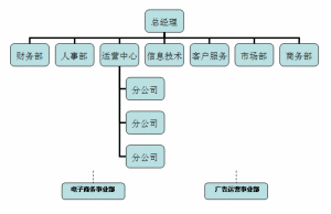 941團中後期組織結構