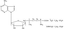 丁二磺酸腺苷蛋氨酸腸溶片