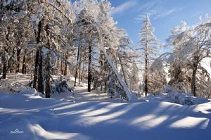 林海雪原景區