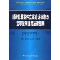 經濟犯罪案件立案追訴標準與定罪量刑適用法律圖解