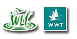 WLI logo